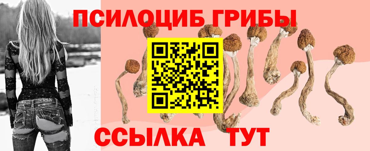 Галлюциногенные грибы Psilocybine cubensis  Вход с VPN  Кузнецк 