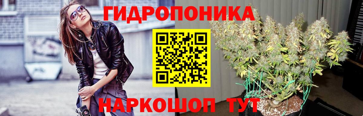 Бошки марихуана Amnesia Кузнецк